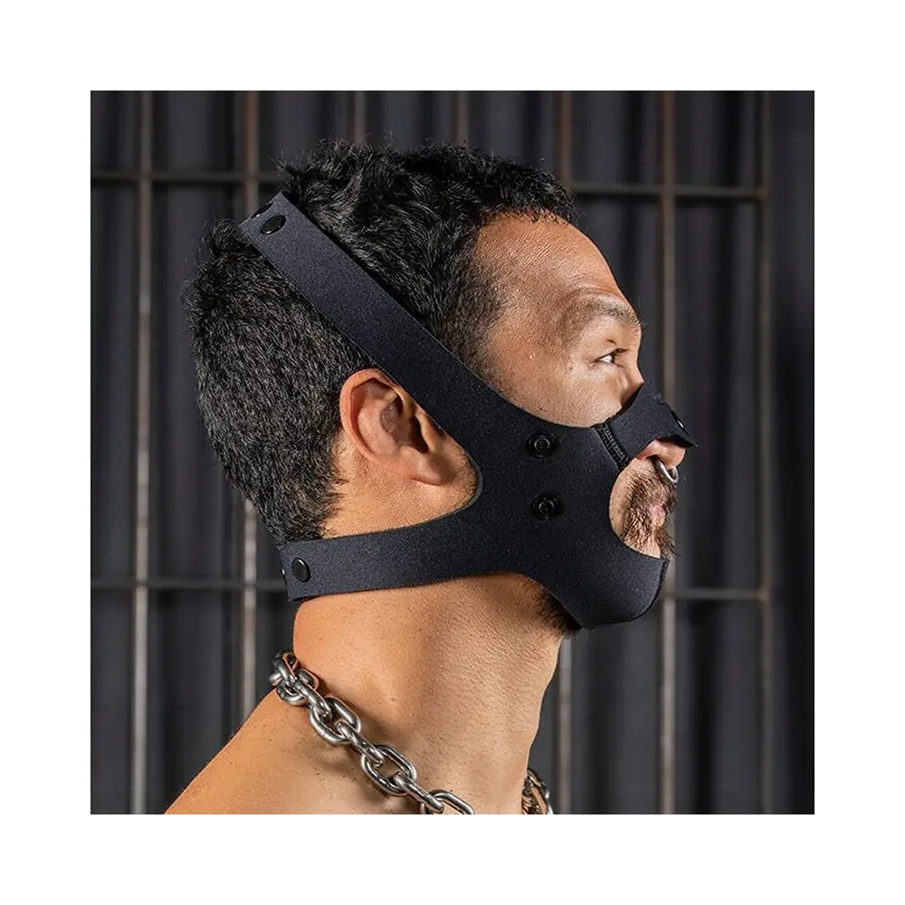 NEO FACE MUZZLE HEAD HARNESS