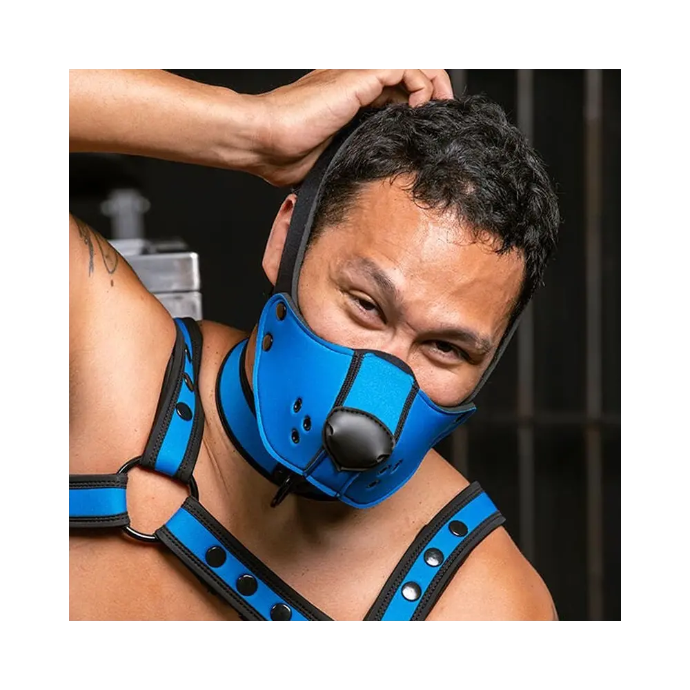 NEO FACE MUZZLE HEAD HARNESS