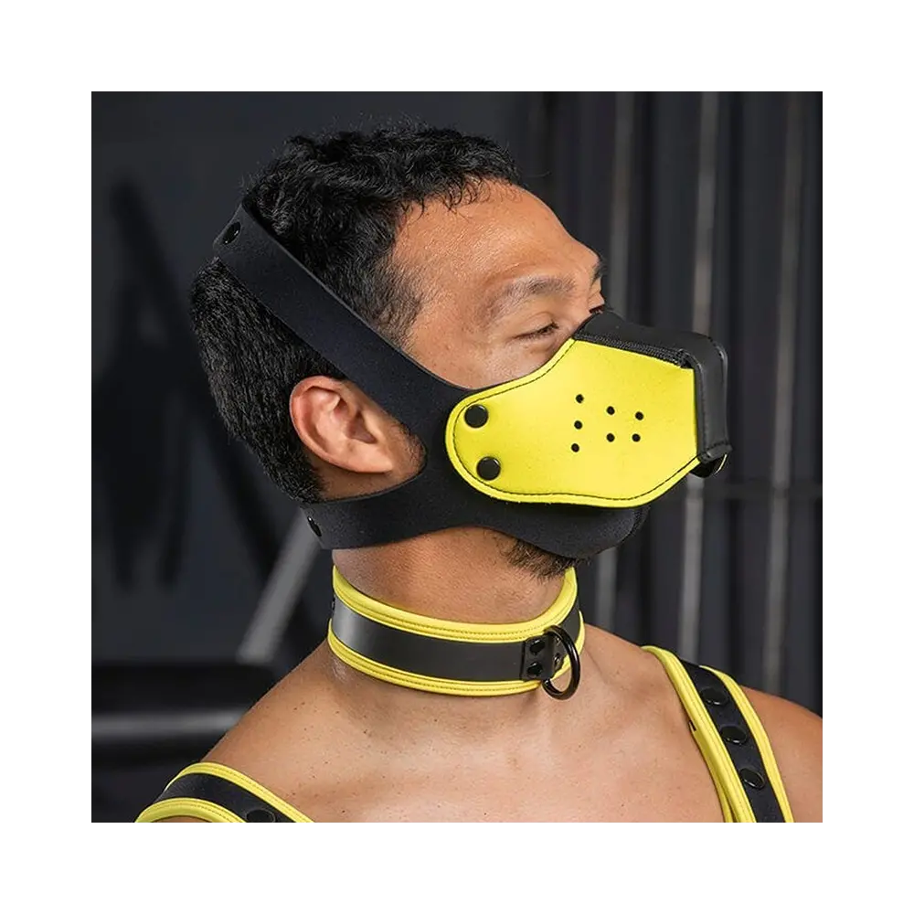 NEO FACE MUZZLE HEAD HARNESS