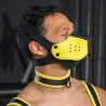 NEO FACE MUZZLE HEAD HARNESS