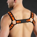 Neo bold crossbow harness