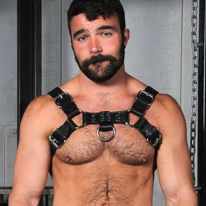 BULLDOG HARNESS