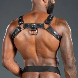 BULLDOG HARNESS