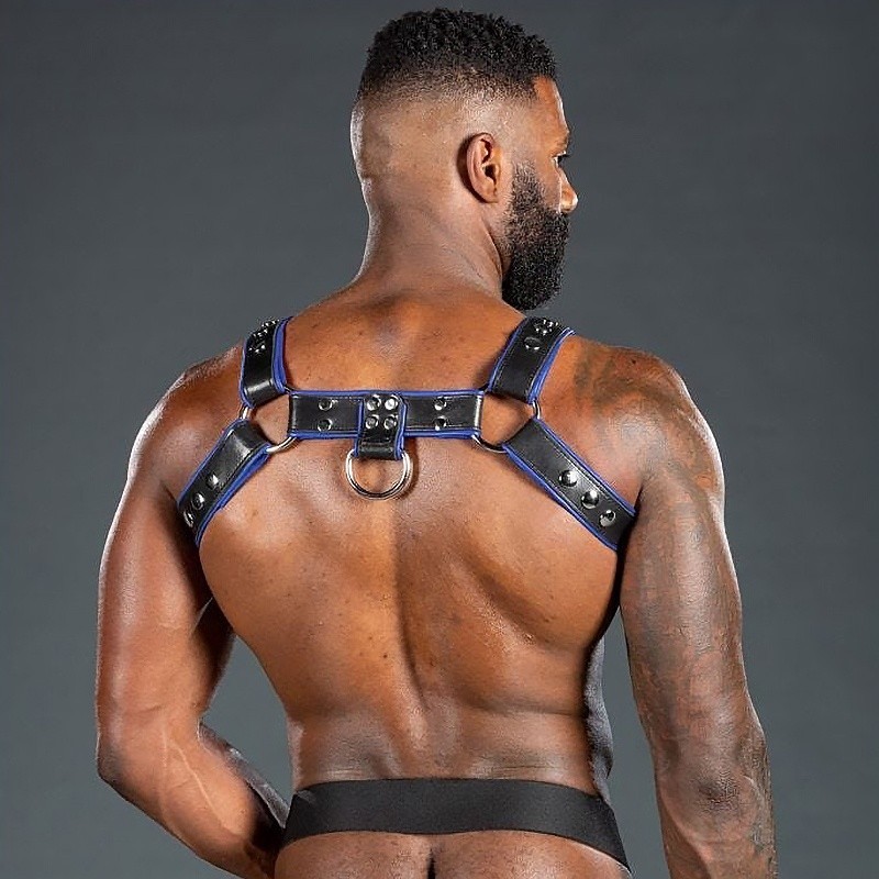 Bulldog harness