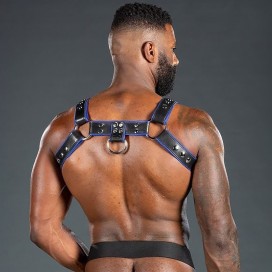 Bulldog harness