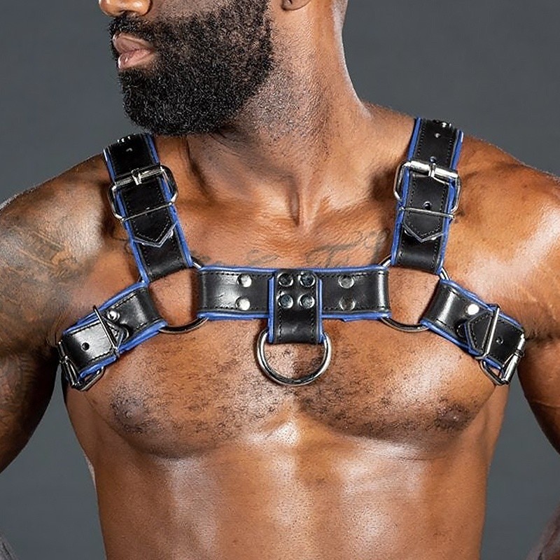 Bulldog harness