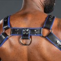 Bulldog harness