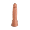 THE PERFECT PENIS