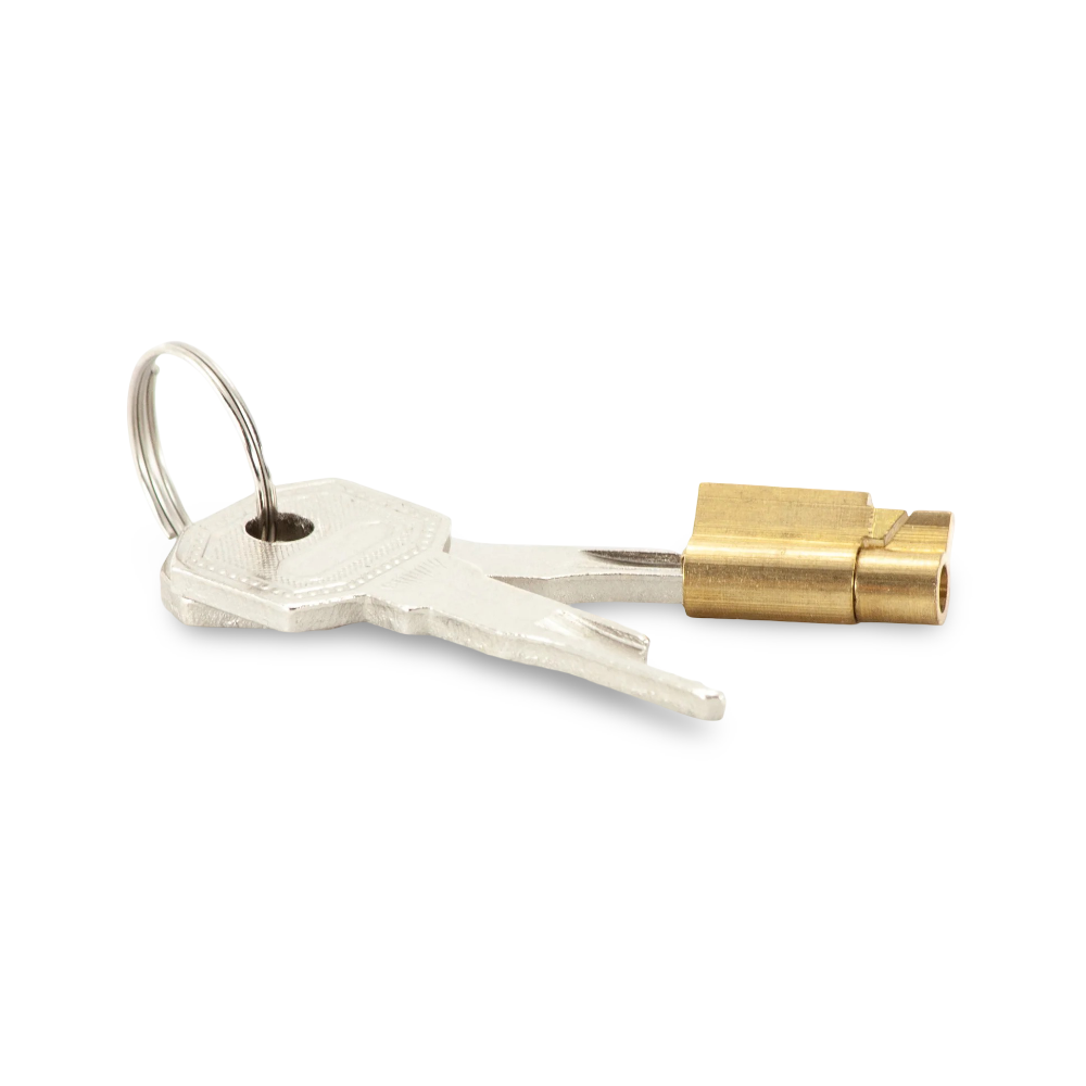 Standard Lock 2 Keys