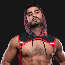 Kennel club lightning hoodie harness